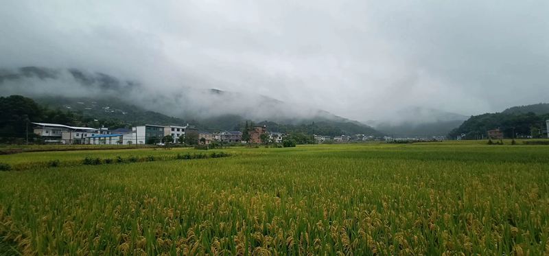 “梅雨季”看輕鋼別墅如何抵御南方的霉雨天?會生銹?不可能!(圖1) 睿婕輕鋼別墅