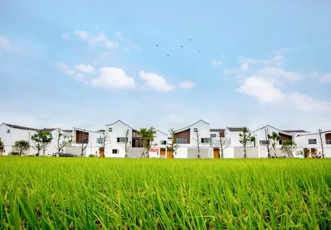 住建廳給你揭曉 裝配式農房有哪些有點?(圖1) 睿婕輕鋼別墅